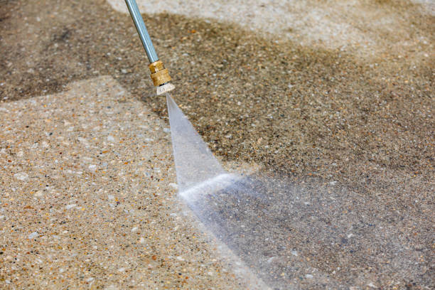 Best Roof Cleaning and Mildew Removal in Bovina, TX